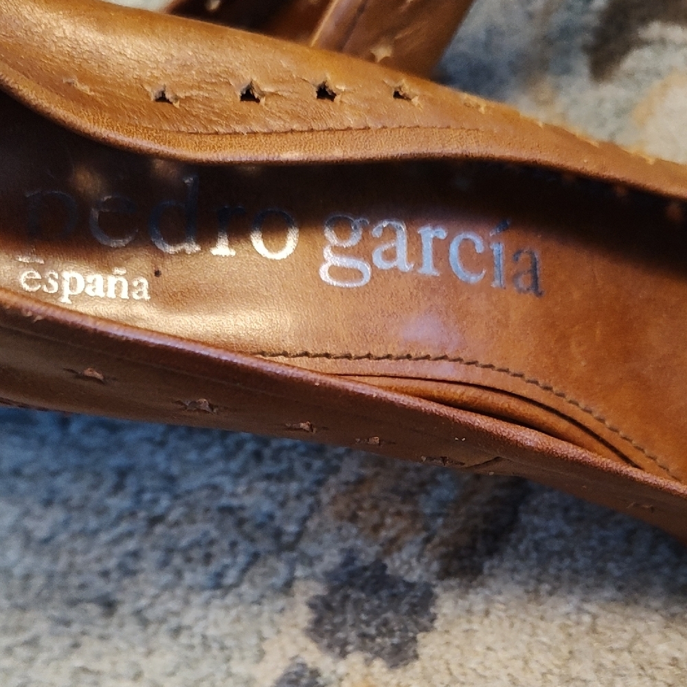Pedro Garcia Brown Pointed Toe Star-Cut Heels with Decorative Accent - Picture 2 of 10